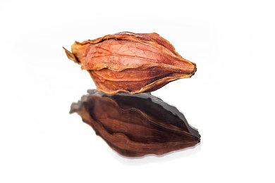 特色新作《红鹿旅馆》 刺绣完成所有角色再做游戏